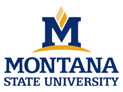 MSU-core-logo-400x300px