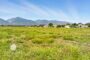 property gallery-image