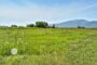 property gallery-image