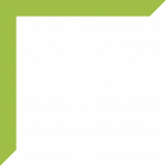 Green Bracket