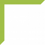 Green Bracket