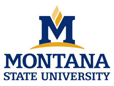 MSU-core-logo-400x300px