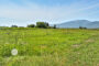 property gallery-image
